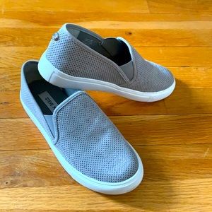 Steve Madden Sneakers